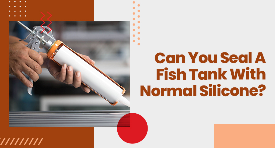 Can You Seal A Fish Tank With Normal Silicone?